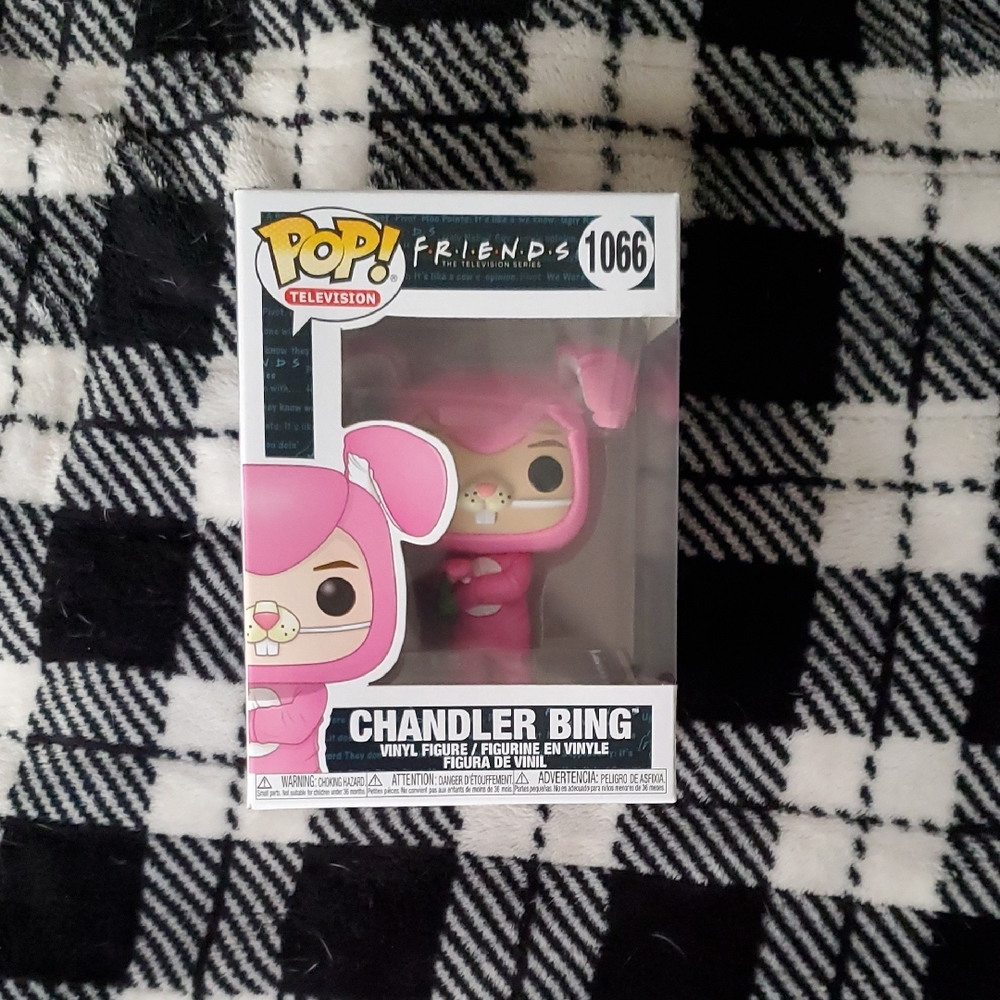 Funko Pink and Light Pink Friends Chandler Bing Pop! Vinyl Box Back
